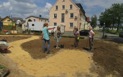 Landfrauen pflanzen Zukunft im Kreis Ahrweiler – Modellgarten mit abwechslungsreichen Strukturen angelegt!