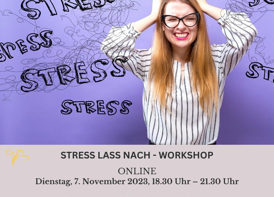 07.11.2023, 18.30 – 21.30 Uhr ONLINE – Workshop: Stress lass nach